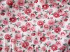 9 Indian Red Daisy Tea Party Apron