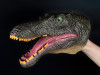 Segnosaurus puppet